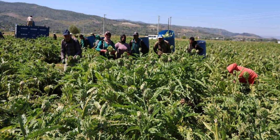 Sarraf altını onlar bıçağı işliyor! Yeşil elmas mesaisinin getirisi asgari ücreti 4’e katlıyor 5